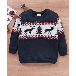Babyhug Full Sleeves Sweater Placement Design- Blue