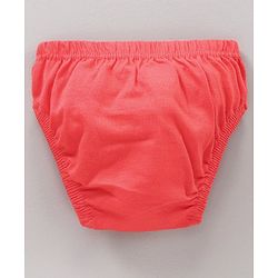 Babyhug Antibacterial Cotton Printed Briefs Pack of 5 - Multicolor