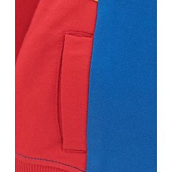 Babyhug Full Sleeves Hooded Cut & Sew Colour Block Sweatjacket with Print - Blue
