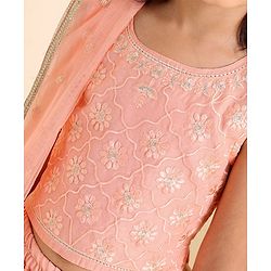 Babyhug Woven Sleeveless Choli With Lehenga & Dupatta Floral  Embroidered - Peach