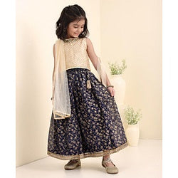 Babyhug Sleeveless Woven Choli & Lehenga With Dupatta Embroidered & Sequinned - Navy Blue