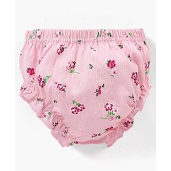 Babyhug 100% Cotton Antibacterial Bloomers Pack of 3