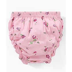 Babyhug 100% Cotton Antibacterial Bloomers Pack of 3