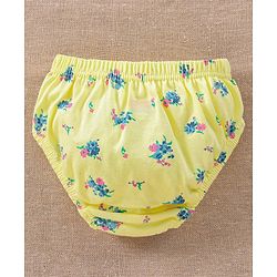 Babyhug 100% Cotton Antibacterial Panties Pack of 3 - Multicolour