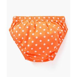 Babyhug Antibacterial Cotton Briefs Printed Pack of 5- Multicolor