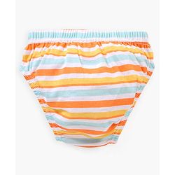 Babyhug Antibacterial Cotton Briefs Printed Pack of 5- Multicolor