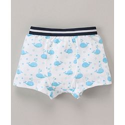 Babyhug 100% Cotton Briefs Pack of 3 - Multicolor