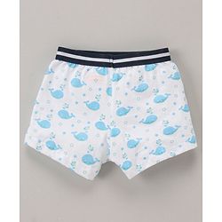 Babyhug 100% Cotton Briefs Pack of 3 - Multicolor