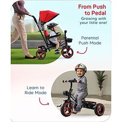 Babyhug Plug & Play Stallion Tricycle with Parental Push Handle & Foldable Canopy - Red Black| Foldable Footrest| Non Slip Pedal| High Backrest| Storage Basket| Removable Safety Rail| Cushion Seat