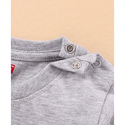 Babyhug Full Sleeves T-Shirt Penguins Print - Grey