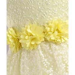 Babyhug Sleeveless Party Wear Frock Floral Embroidered - Yellow