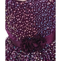 Babyhug Cap Sleeves All Over Sequined Party Frock - Wine