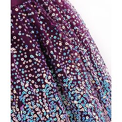 Babyhug Cap Sleeves All Over Sequined Party Frock - Wine