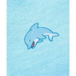Babyhug Cotton Knit Mid Thigh Length Shorts Dolphin Print Pack of 3 - Lime Green White & Blue