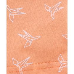 Babyhug Cotton Knit Mid Thigh Length Shorts Paper Plane Print - Orange