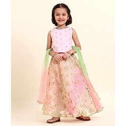 Babyhug Sleeveless Embroidered Choli Lehenga And Dupatta - Pink