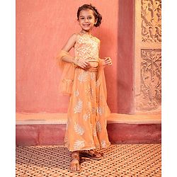 Babyhug Sleeveless Choli & Lehenga Set with Dupatta Zari Work & Golden Border Embroidered- Coral