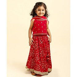 Babyhug Sleeveless Embroidered Choli Lehenga And Dupatta - Red