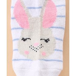 Cute Walk by Babyhug Ankle Length Antibacterial Socks Multi Design Pack Of 5 - Multicolor