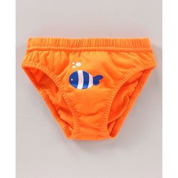Babyhug  Cotton Stripes & Printed Briefs Pack of 5 - Multicolor