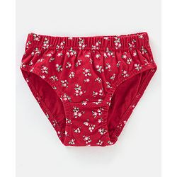 Babyhug Cotton Panties Floral and Polka Dots Print  Pack of 3 - Multicolour