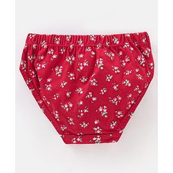 Babyhug Cotton Panties Floral and Polka Dots Print  Pack of 3 - Multicolour