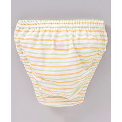 Babyhug Cotton Antibacterial Stripes & Animal Print Briefs Pack Of 3 - Multicolor