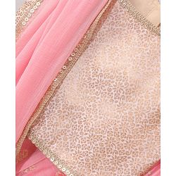 Babyhug Sleeveless Choli & Lehenga Set with Dupatta Floral Embroidered - Peach