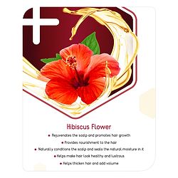 Babyhug Advanced Infused Hibiscus Hair Oil- 200 ml