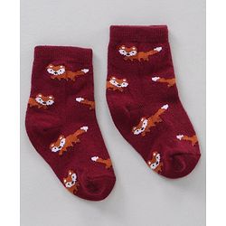 Cute Walk by Babyhug Anti Bacterial Ankle Length Non Terry Socks Animal Print Pack of 5 Pair - Multicolour