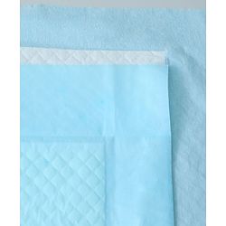 Babyhug Disposable Diaper Changing Mat Medium 10 Pieces - Blue