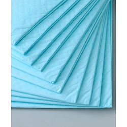 Babyhug Disposable Diaper Changing Mat Medium 10 Pieces - Blue