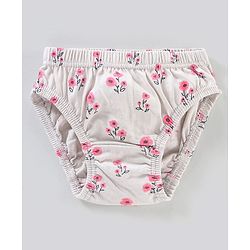 Babyhug 100% Cotton Knit Anti-Bacterial Panties Striped Floral & Polka Dots Print Pack of 3 - Pink Grey