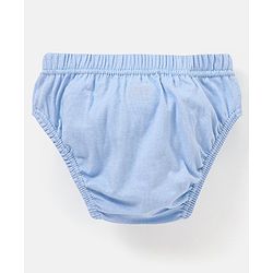 Babyhug 100% Cotton Knit Anti Bacterial Briefs Striped & Bear Print Pack of 3 - Blue & Green
