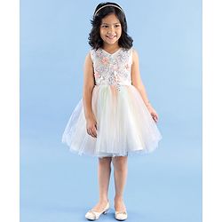 Babyhug Sleeveless Party Wear Frock Floral Embroidery - Multicolour