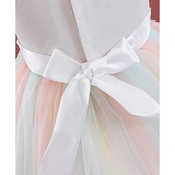 Babyhug Sleeveless Party Wear Frock Floral Embroidery - Multicolour