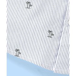 Babyhug 100% Cotton Woven Half Sleeve Regular Collar Striped Shirt Palm Tree Print - Blue