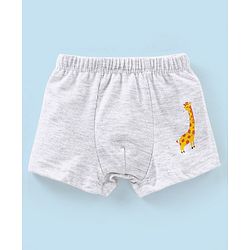 Babyhug 100% Cotton Striped & Wild Animals Printed Briefs Pack of 3 - Grey & Orange