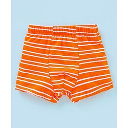 Babyhug 100% Cotton Striped & Wild Animals Printed Briefs Pack of 3 - Grey & Orange