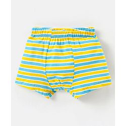 Babyhug 100% Cotton Briefs Striped Pack of 5 - Multicolor