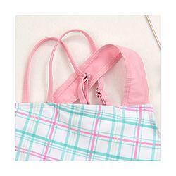 Babyhug Sleeveless Checkered Frock Swimsuit - Blue & Pink