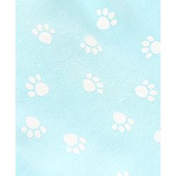 Babyhug 100% Cotton Stripped and Paw Printed Caps Pack of 2 Green and Blue - Diameter 9.5 cm