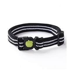 Babyhug Belt Free Size - Blue