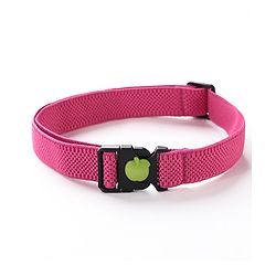 Babyhug Belt Free Size - Blue