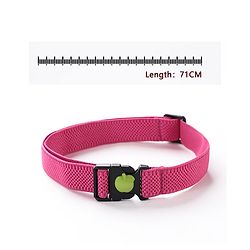 Babyhug Belt Free Size - Blue