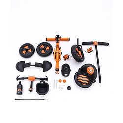 Babyhug Plug & Play Black Hawk Tricycle With Parental Push Handle & Storage Basket - Tiger Orange