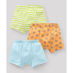 Babyhug 100% Cotton Striped & Teddy Print Briefs Pack of 3 - Turquoise Green & Orange