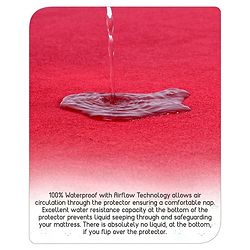 Babyhug Waterproof 100% Terry Cotton Breathable Fitted Mattress Protector Cover- Maroon