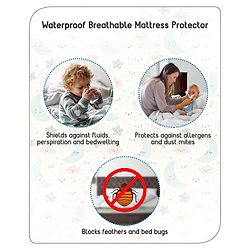 Babyhug Waterproof 100% Terry Cotton Breathable Fitted Mattress Protector Cover- White