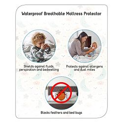 Babyhug Waterproof 100% Terry Cotton Breathable Fitted Mattress Protector Cover - Maroon